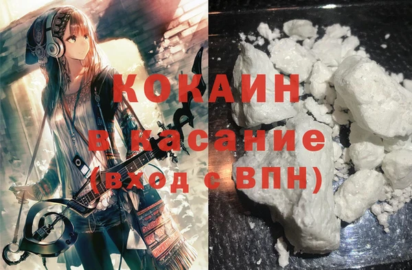 сатива Лагань