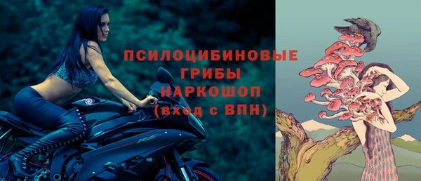 стафф Лабытнанги