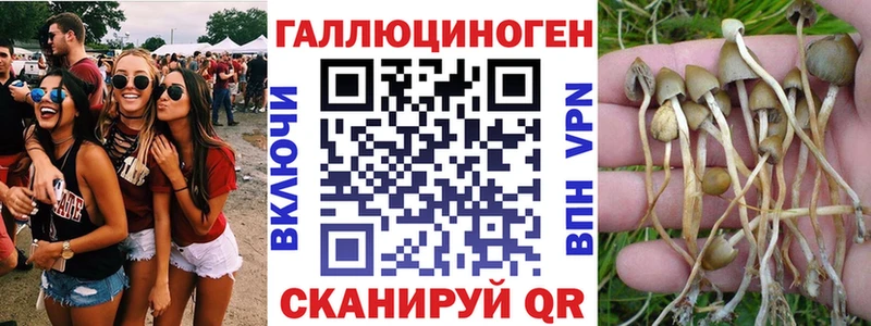 Псилоцибиновые грибы ЛСД  мориарти телеграм  Спас-Клепики  как найти закладки 